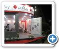 Depuy Stall in 53rd Annual Conference- Indian Orthopaedic Association 1